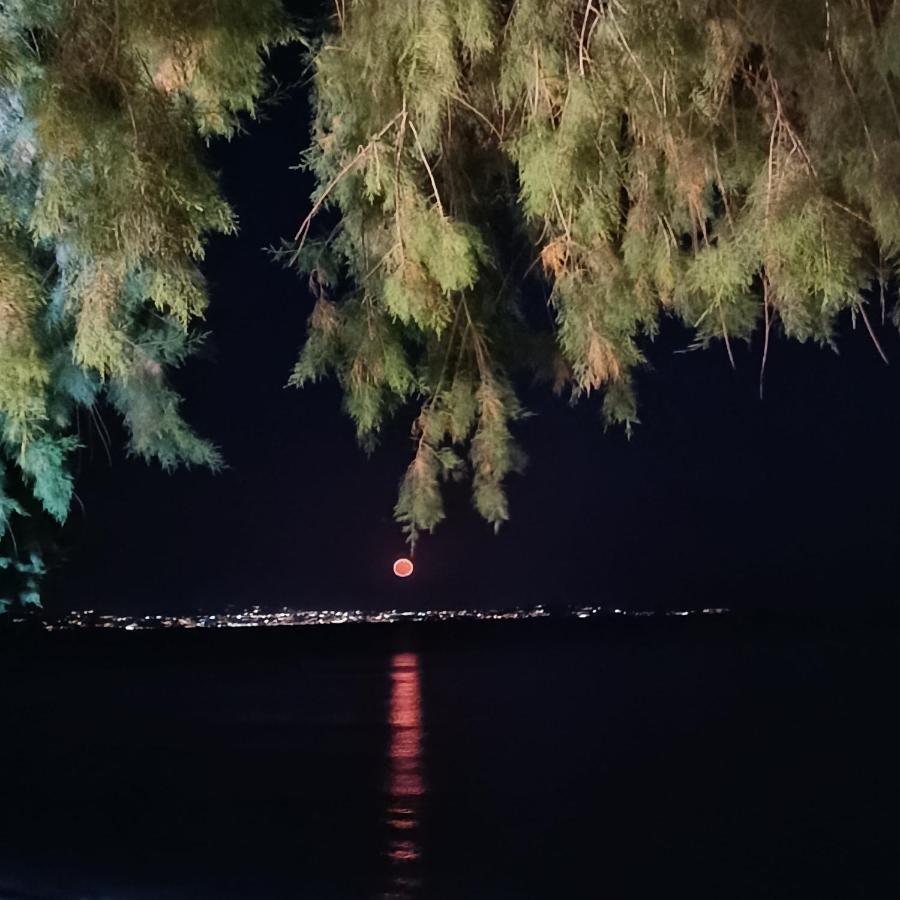 Mare Nostrum Istérnia 外观 照片